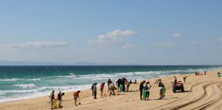 Voluntários da Brigada do Mar limpam praias do Litoral Alentejano até sábado