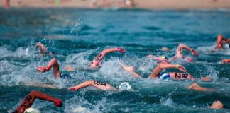 Setúbal volta a receber Taça do Mundo e da Europa de águas abertas