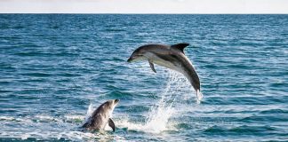 Grândola assinala Dia Mundial do Turismo com atividades ao ar livre