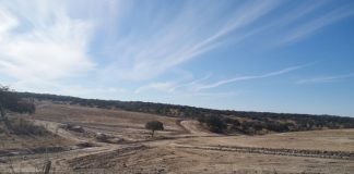 Direção regional apresenta queixa-crime por destruição de anta no concelho de Mora