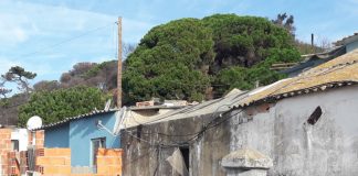 Dentro da cidade sadina, miséria em estado puro na Parvoíce