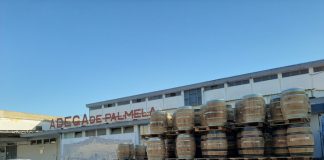 Adega de Palmela comemora 65 anos com investimentos e novos vinhos de topo