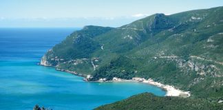 PSD de Setúbal contra licenciamento ou aumento de atividades que destruam a Arrábida