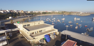 Docapesca investe 860 mil euros num novo edifício
