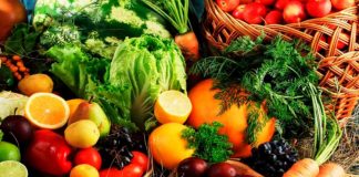 Câmara de Setúbal distribui produtos hortícolas pelos alunos do 1º ciclo