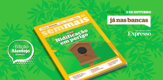 Semmais Alentejo já está nas bancas