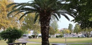 Junta de São Sebastião coloca novo mobiliário urbano no Parque de Lanchoa