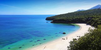 Praias do distrito de Setúbal registam cinco vítimas mortais na época balnear 2020