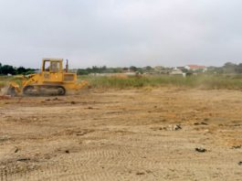 Câmara municipal cria colmeia de empresas “Setúbal Parque”