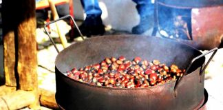 Feira da Castanha – Festa do Castanheiro em Marvão adiada para 2021