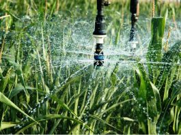 Reguengos de Monsaraz investe 331 mil euros na reutilização de água residual