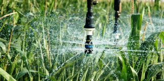 Reguengos de Monsaraz investe 331 mil euros na reutilização de água residual