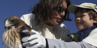 Aumenta o número de animais acolhidos pelo Centro de Recuperação de Santo André