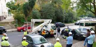 Câmara de Setúbal reforça serviços de manutenção de espaços verdes