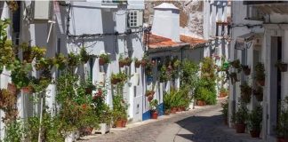 Moura integra mais duas ruas na iniciativa Ruas e Janelas Floridas