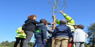 Almada planta mais de quatro mil árvores do “Floresta Comum”