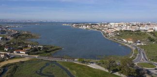 Estudo revela que qualidade do ar do Seixal ainda deixa a desejar