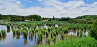 Espaço Interpretativo da Lagoa Pequena encerra até 2 de janeiro