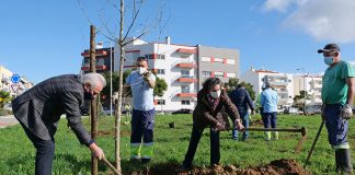 Parque Urbano da Quinta da Amizade tem nova vegetação