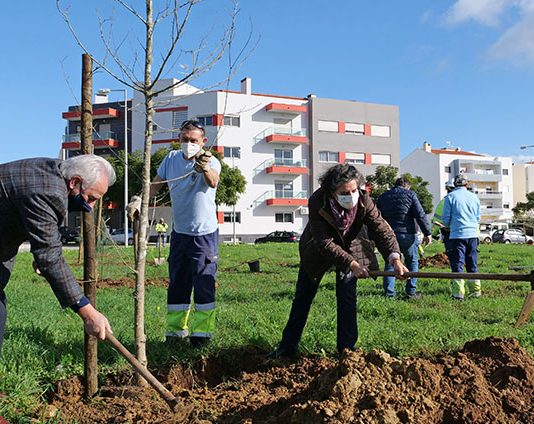 Parque Urbano da Quinta da Amizade tem nova vegetação