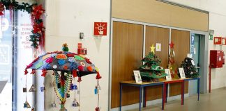 Barreiro recebe exposição “Árvores de Natal Ecológicas” até 6 de janeiro