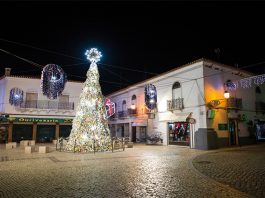 Moura homenageia profissionais de saúde com árvores de Natal