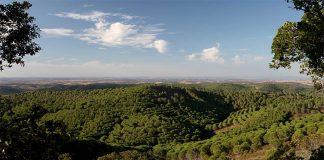 Herdade da Contenda vence Prémio Nacional de Paisagem 2020