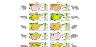 Investigador da UÉ propõe conceito para a proteção da biodiversidade
