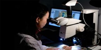 UÉ envolvida em laboratório sino-português dedicado ao património cultural