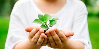 Almada lança nova plataforma de recursos de educação ambiental