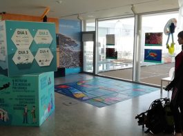 Projeto educativo Kids Dive vai a Setúbal