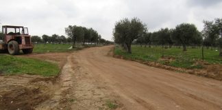 Movimento diz que caminhos rurais estão a ser destruídos por trabalhos agrícolas no Alentejo