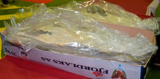 Autarquia de Santiago do Cacém doa bens a Conferências Vicentinas