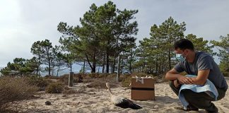 Quercus de Santo André resgatou e libertou número recorde animais