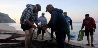 Arte xávega vai ser recriada em Alfarim