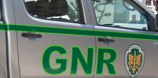 Dois homens constituídos arguidos por violação de confinamento em Palmela