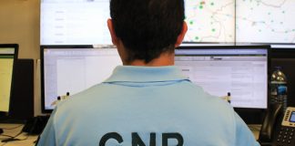 Comando Territorial de Setúbal efetua 59 detenções