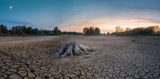 Projeto para combater alterações climáticas em oito concelhos do Baixo Alentejo