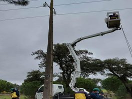 EDP Distribuição desvia linha aérea para viabilizar rega circular no Poceirão