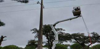 EDP Distribuição desvia linha aérea para viabilizar rega circular no Poceirão