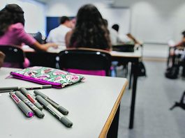 Viana do Alentejo promove projeto “5 Estrelas” para combater insucesso escolar