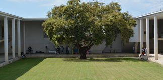 Secretário de Estado da Ciência no arranque do novo mestrado em Logística do IPS