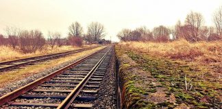 Homem colhido mortalmente por comboio no concelho da Moita