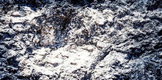 Mais de 600 pegadas de dinossauros descobertas na zona do Cabo Espichel, em Sesimbra