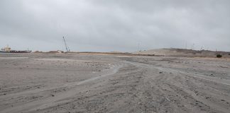 SOS Sado denuncia poluição de dragagens em pradaria marinha no estuário do Sado