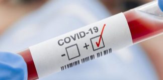 Moura promove testagem massiva à Covid-19