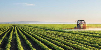 Universidade de Évora lança 3ª edição do Prémio Empresário Agrícola