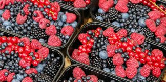 Exportações de pequenos frutos batem recorde em 2020 e atingem 247 milhões