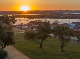 Município do Seixal vai plantar 480 árvores nas ruas e parques públicos