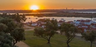 Município do Seixal vai plantar 480 árvores nas ruas e parques públicos